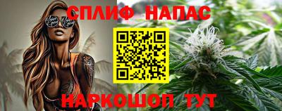гидропоника Брянск