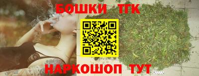 гашик Боровичи