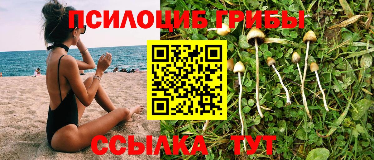 Губаха  Галлюциногенные грибы Cubensis  Вход с VPN 